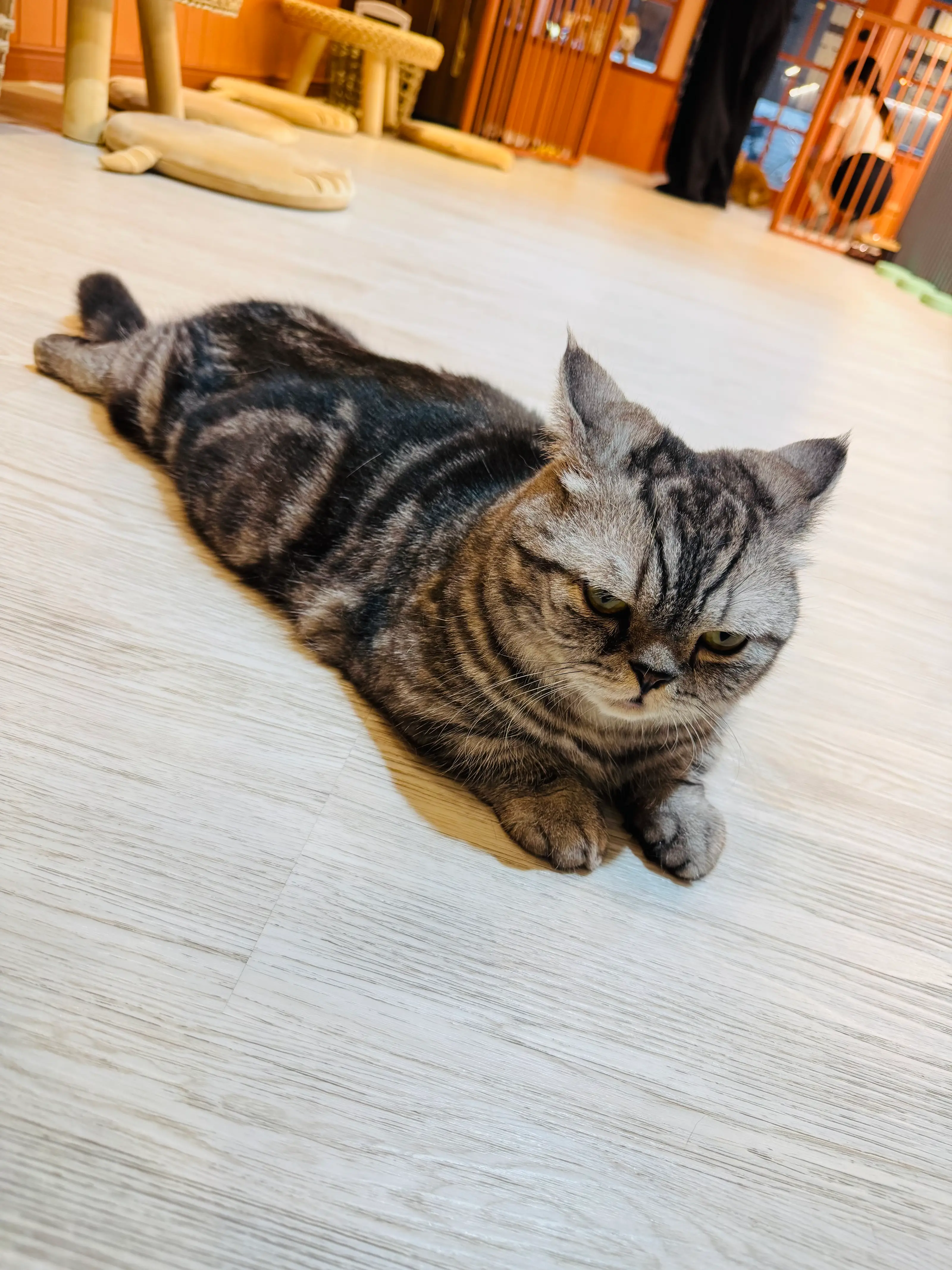 1764129635703-038c1ae4545b