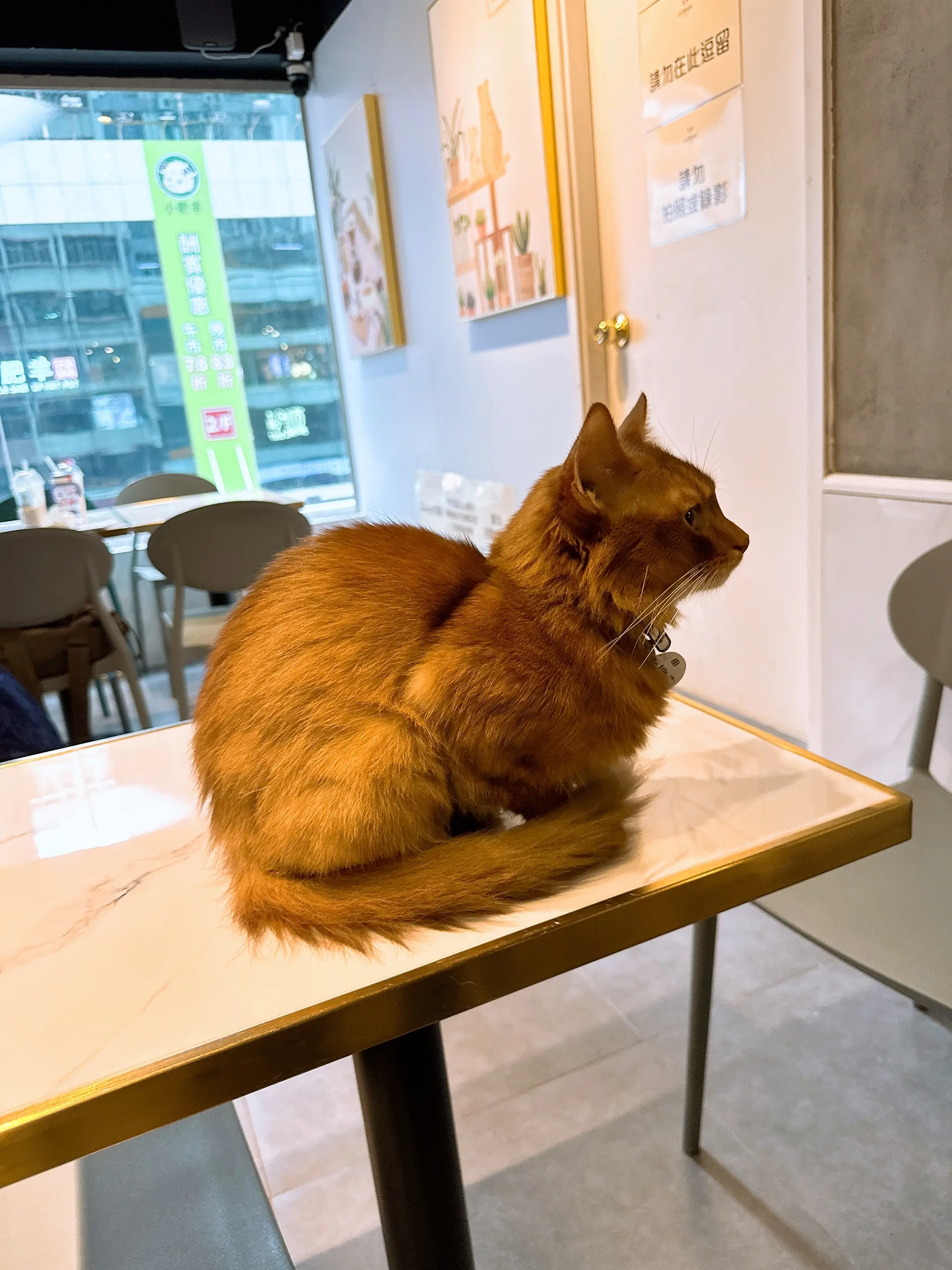 1764253330724-f574136fb147